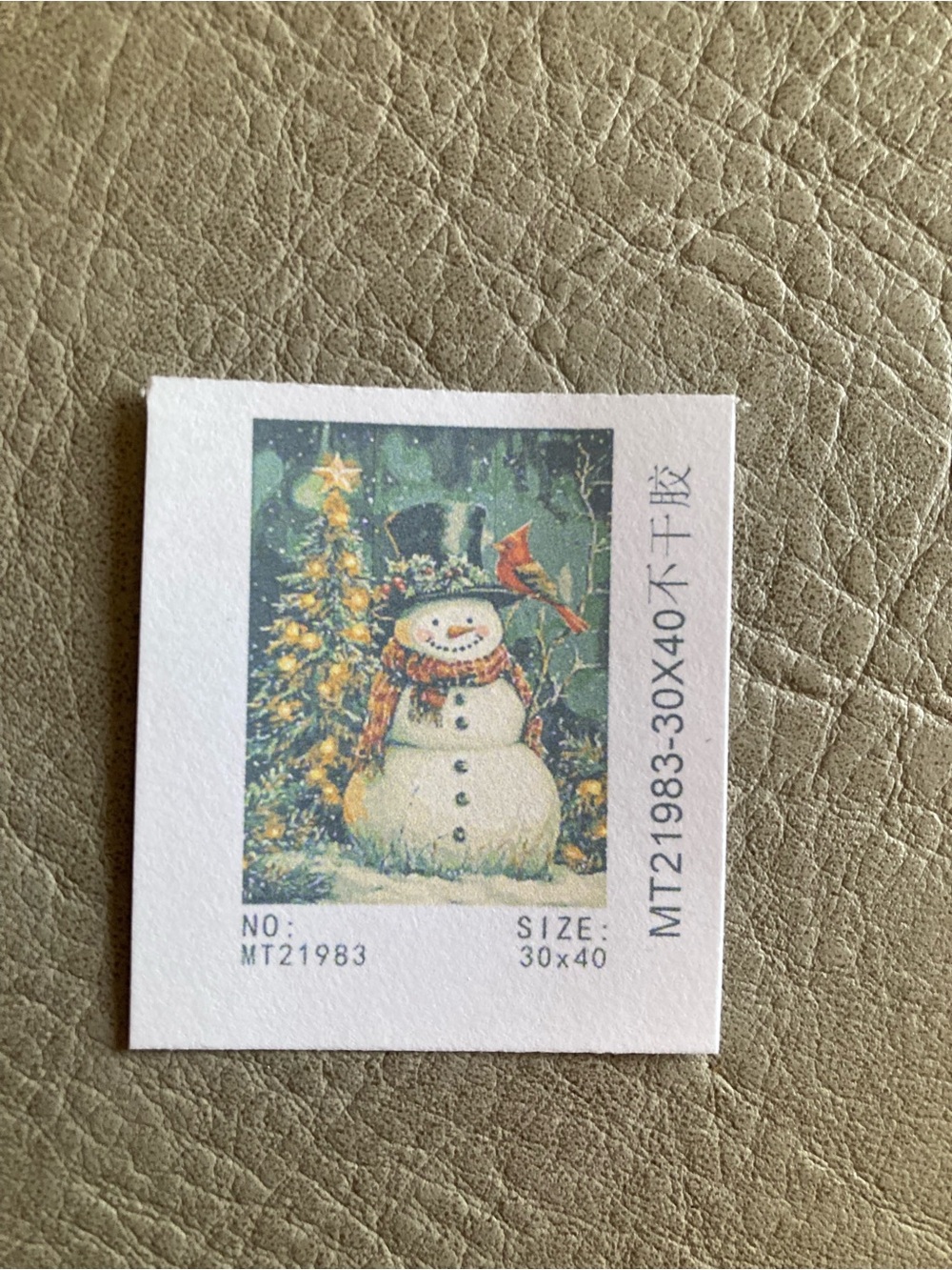 NEW Paint by Number Snowman Holiday Print